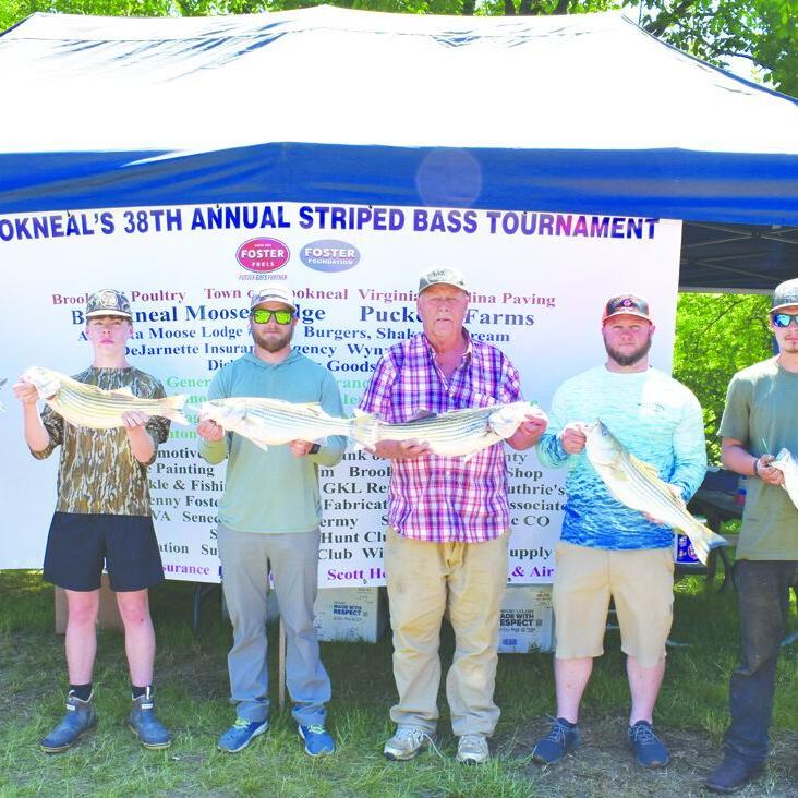 Obituaries altavistajournal com