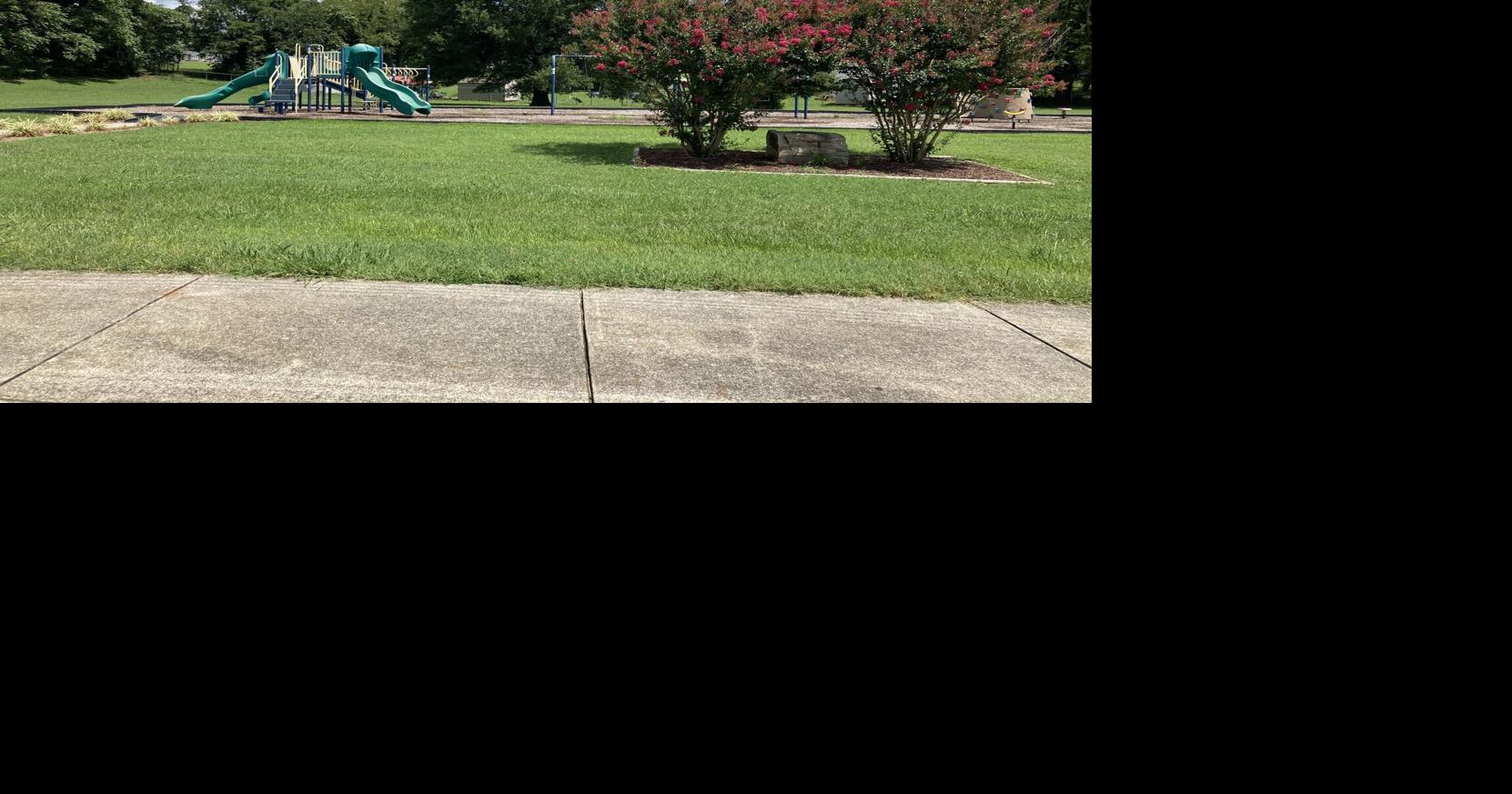 Town Council considers naming park in honor of prominent African