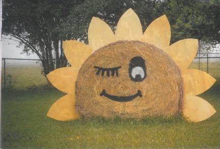 Family Enjoyed Decorating Round Hay Bales News Alvinsun Net