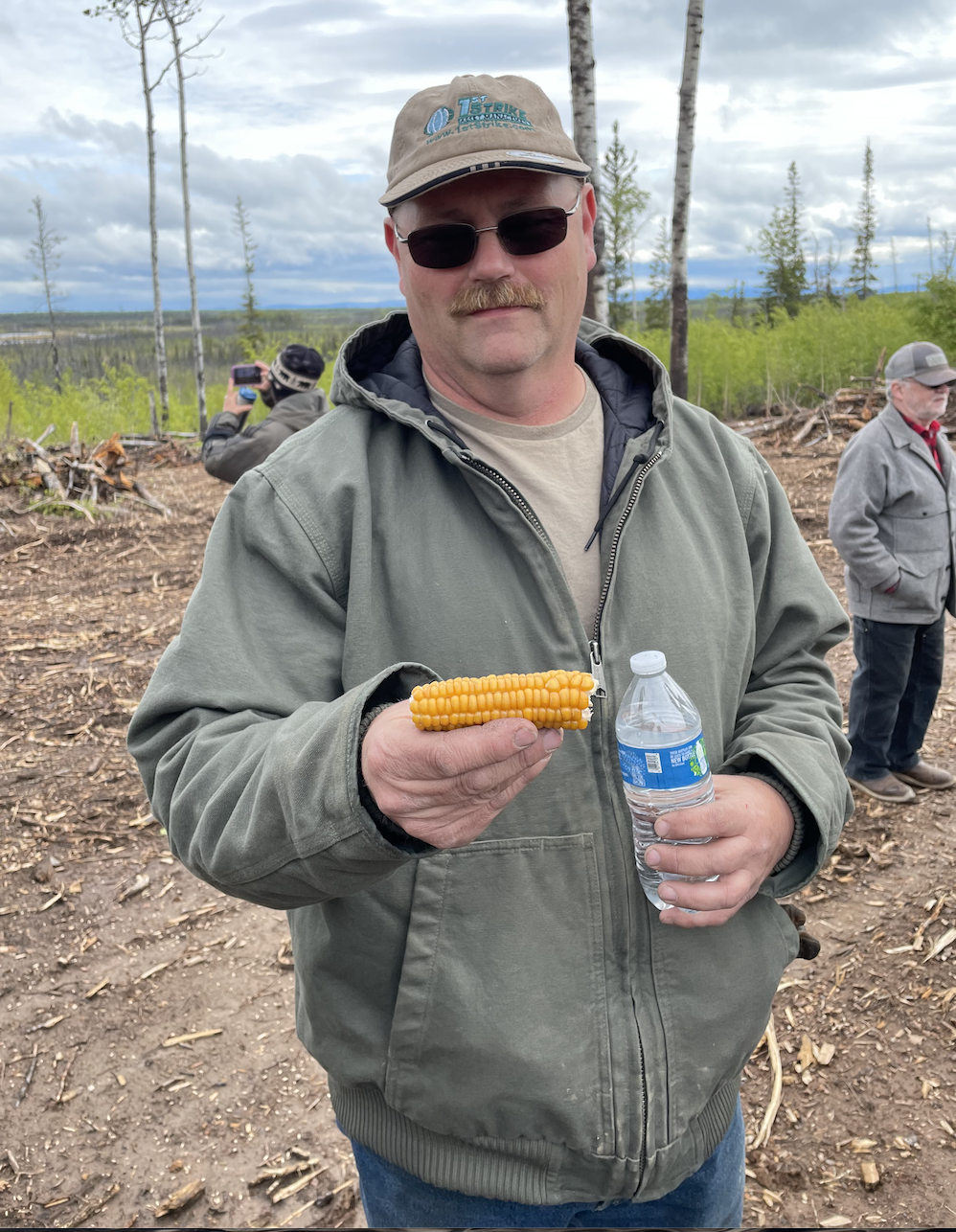 The new gold in Alaska agriculture corn? News