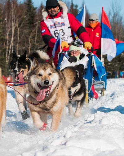 Musher  Chicago IL