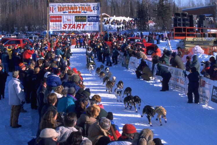Honoring Togo's Legacy, a Maine Musher Sets His Sights on the Iditarod