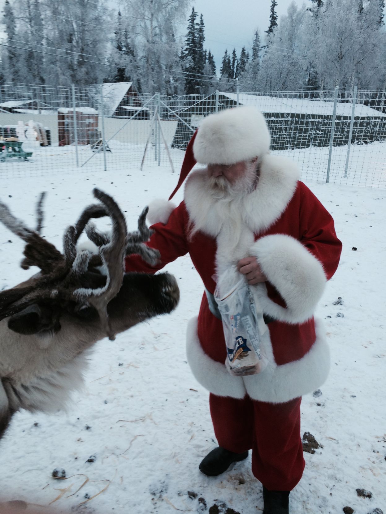Real santa claus north pole hotsell