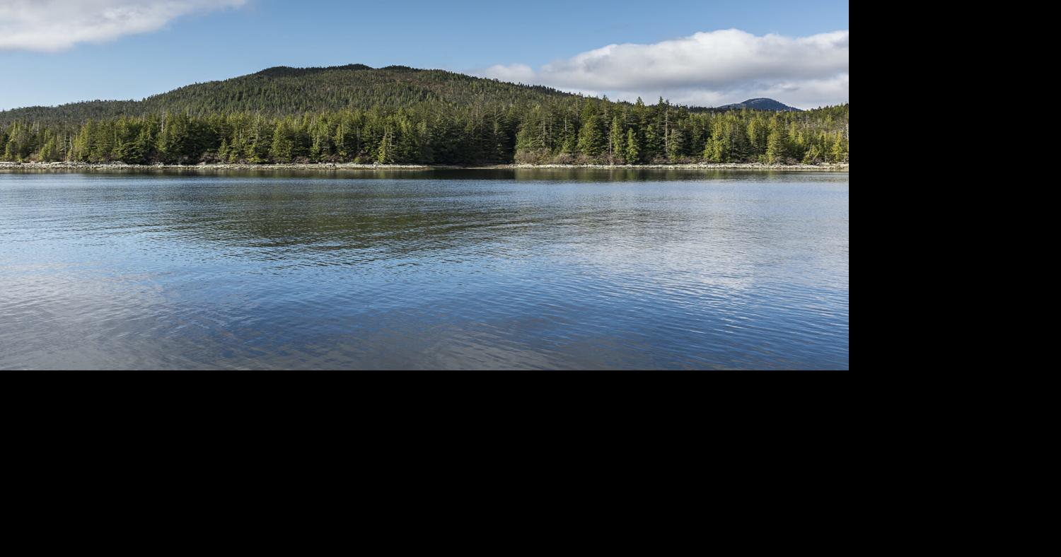 Trump’s trade war killing Southeast Alaska logging industry News