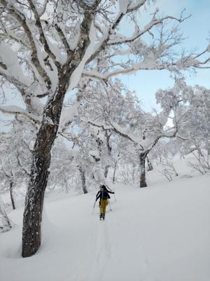 Zack Fields_Wonderland ascent