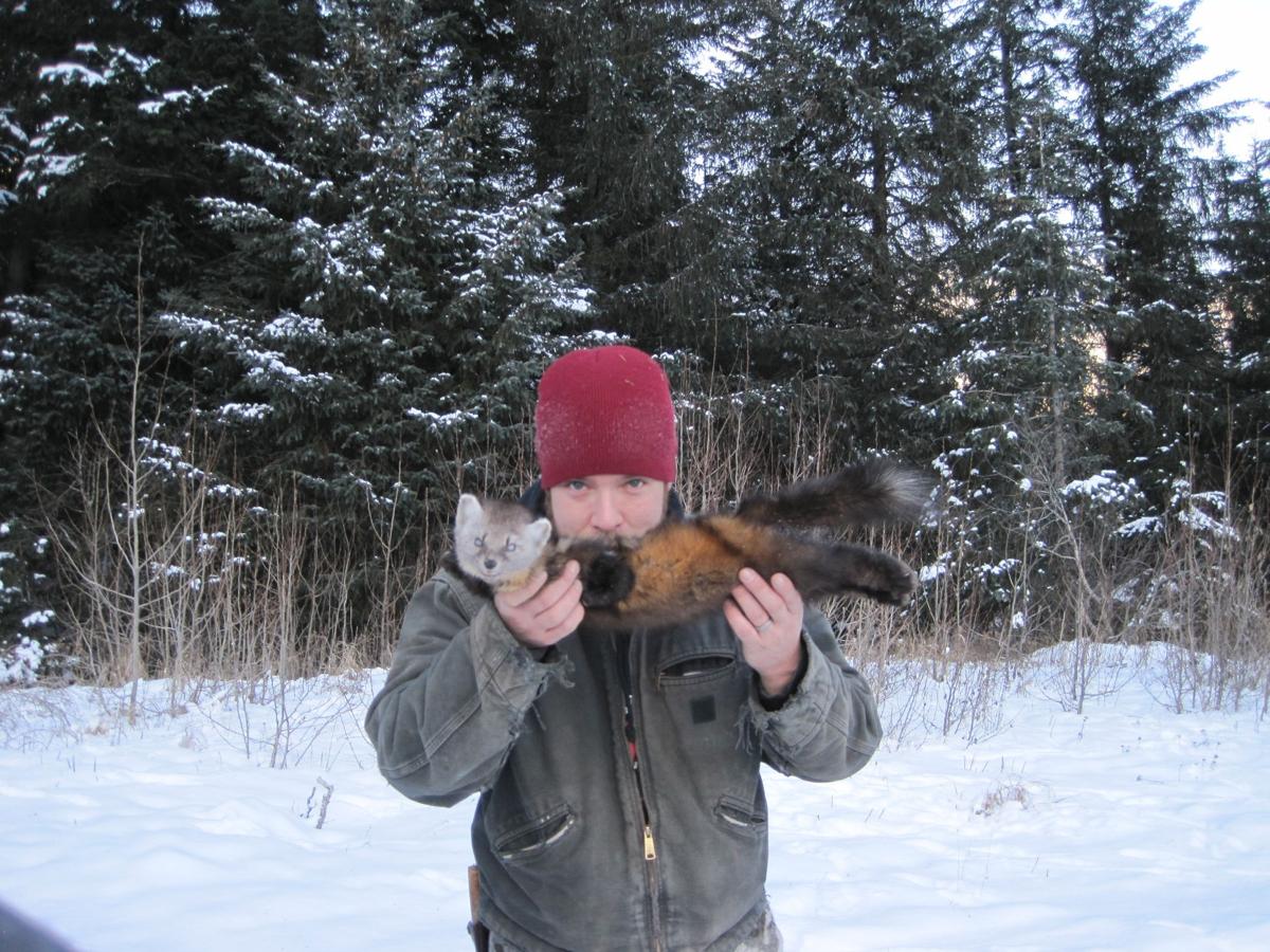 Trapping Alaska News