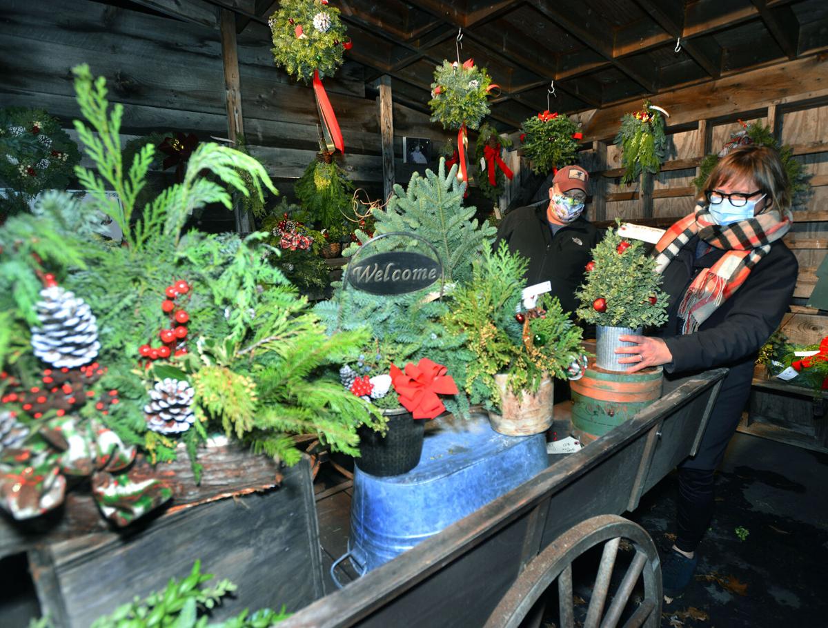 201201_at_cru_AndoverTREELOT_1.JPG