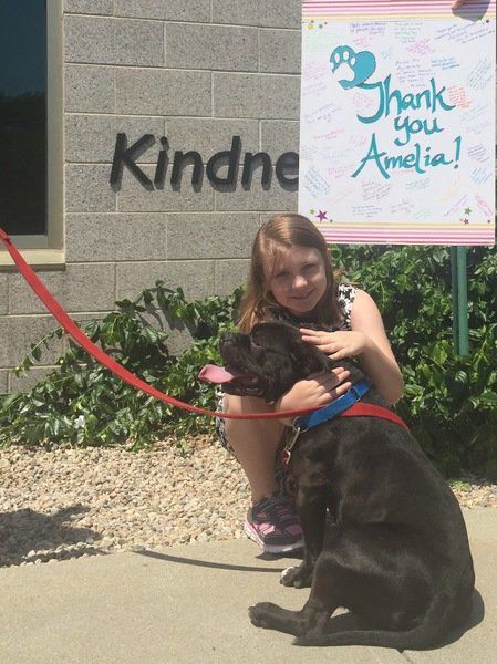 9th Birthday Party Raises Donations For Mspca Townspeople Andovertownsman Com