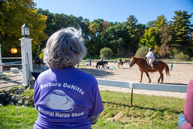Ironstone Farm puts equine skills on display News