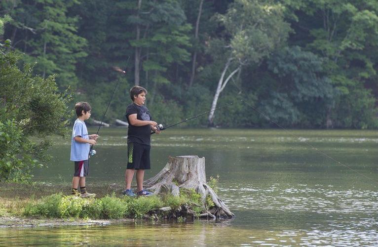 Pond Fishing Masterclass 🎣  The Last Pond Fishing Video You'll Need 