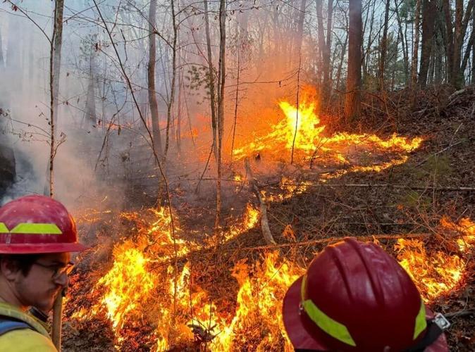 New truck improves department's ability to fight brush fires | Local ...