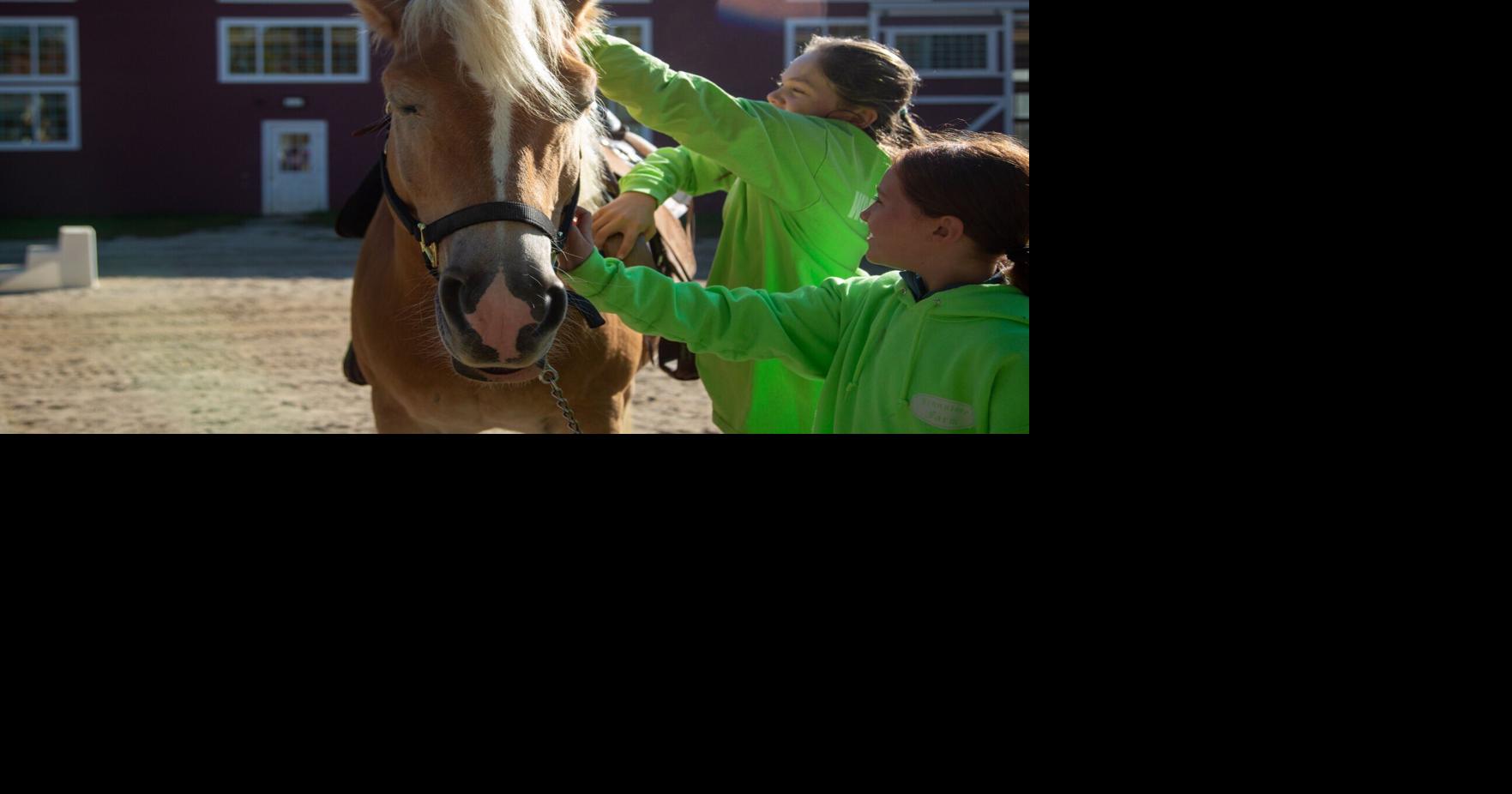 Ironstone Farm hosts annual fundraising event