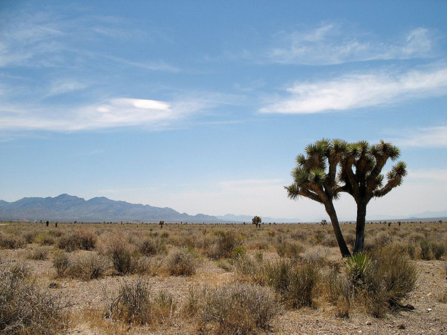 Nevada.JPG