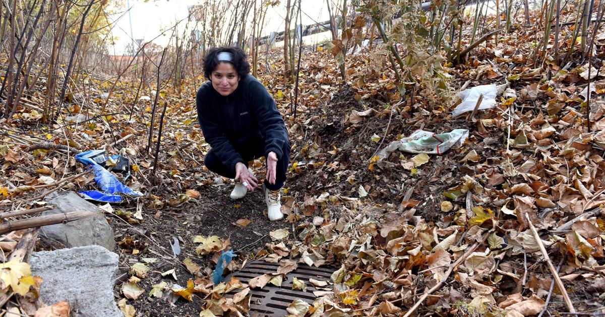 A closer look at Aindvery Exist Repeated/(?