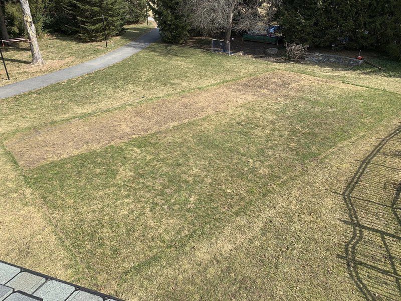 Frozen out Warm winter leaves backyard rinks all wet 