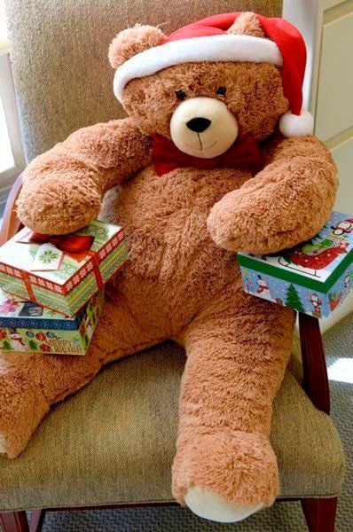 Enter to win a Vermont Teddy Bear | Local News | andovertownsman.com