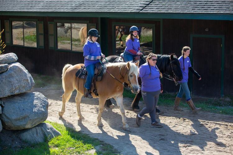 Ironstone Farm puts equine skills on display News