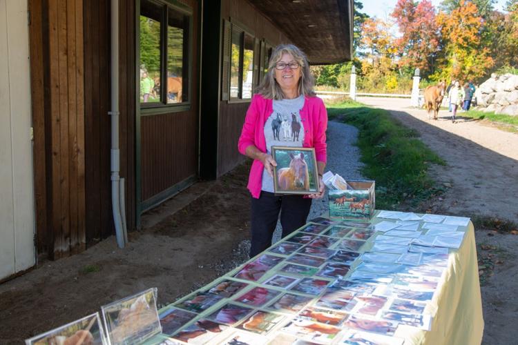 Ironstone Farm puts equine skills on display News