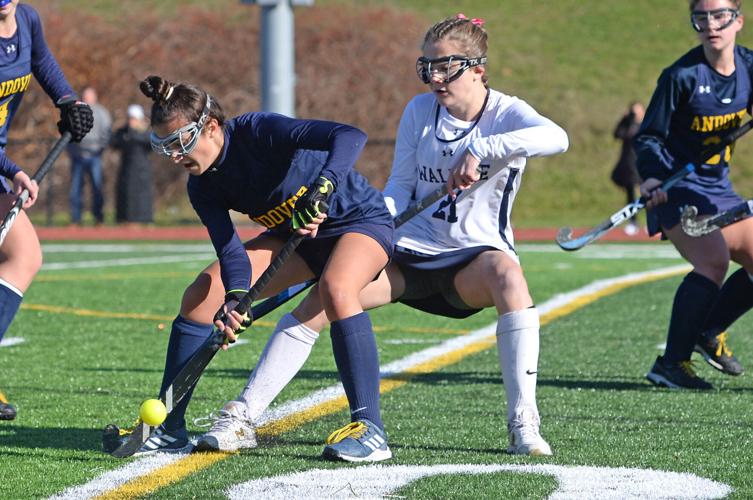 Field hockey wins second straight state title, besting Walpole on