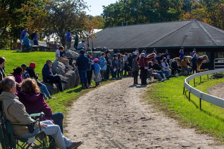 Ironstone Farm puts equine skills on display News