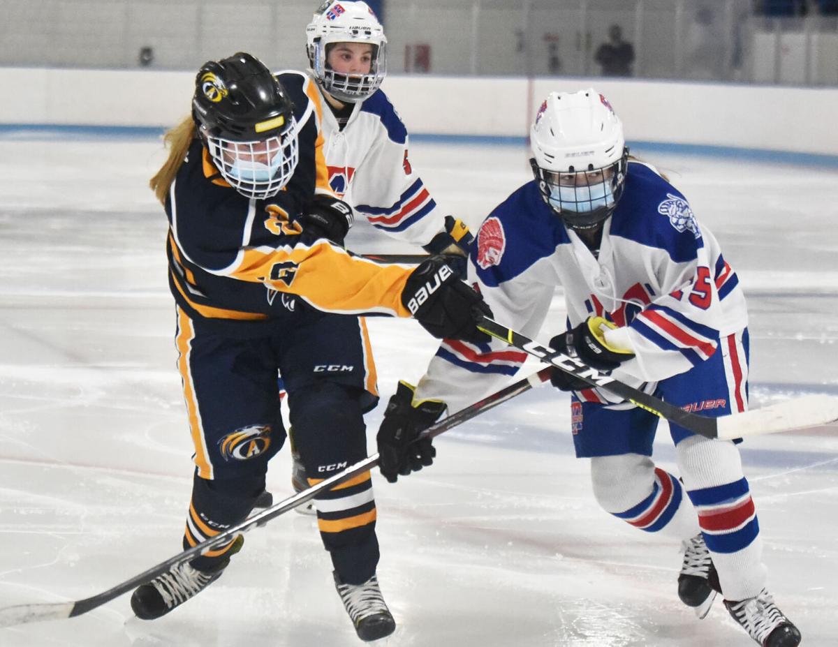 SLIDESHOW: Andover defeats Methuen in girls hockey | Gallery ...