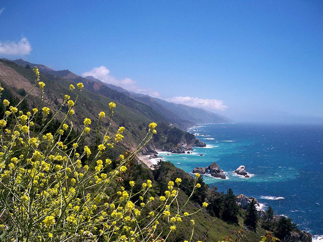 California.jpg