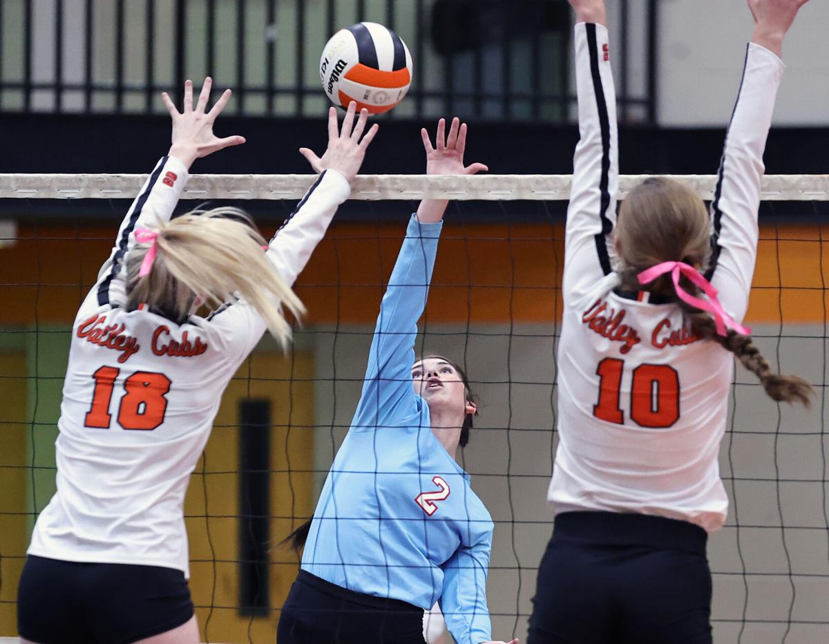 Alexandria PV volleyball