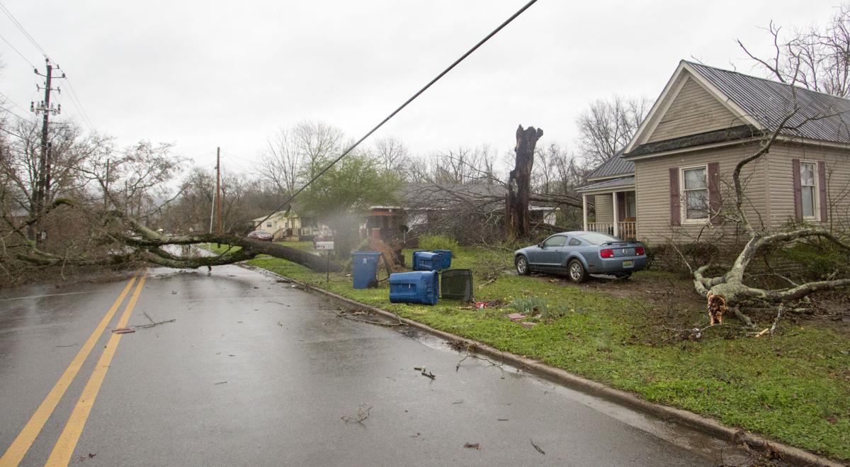Jacksonville storm damage News annistonstar com