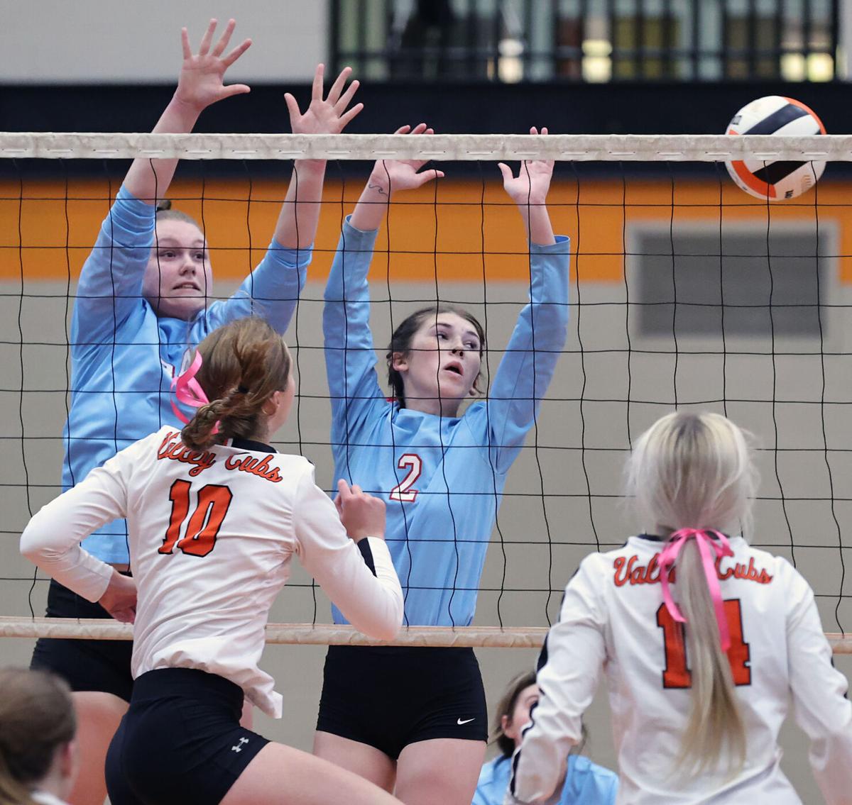 Alexandria PV volleyball