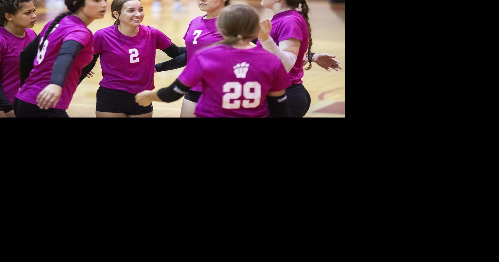 AnnistonStar.com - Prep volleyball: First-year coach keeps Weaver moving forward image