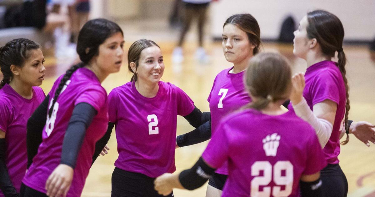 AnnistonStar.com - Prep volleyball: First-year coach keeps Weaver moving forward image