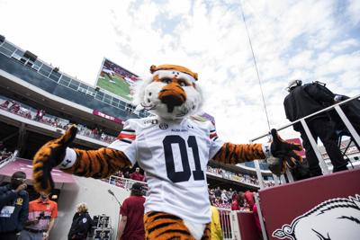 No 12 Auburn Vs No 4 Georgia Game Outlook Where To Watch