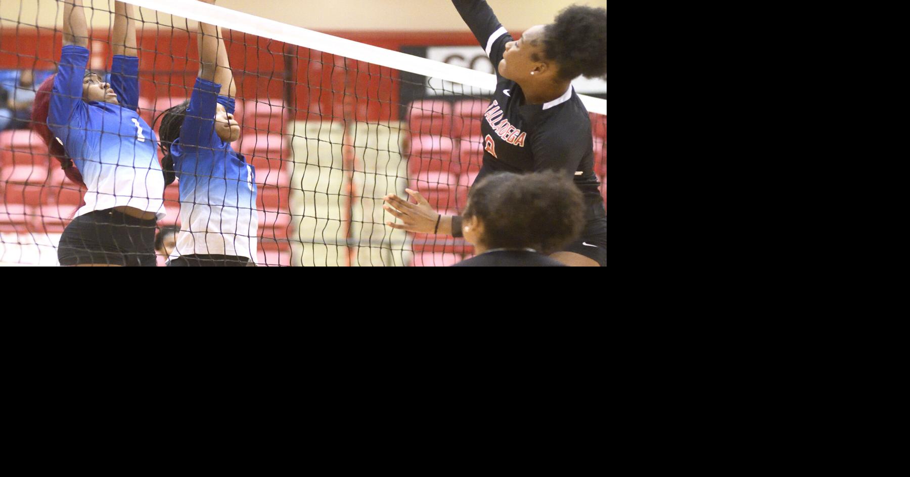 AnnistonStar.com - Photos: Talladega Volleyball hosts TCCHS image