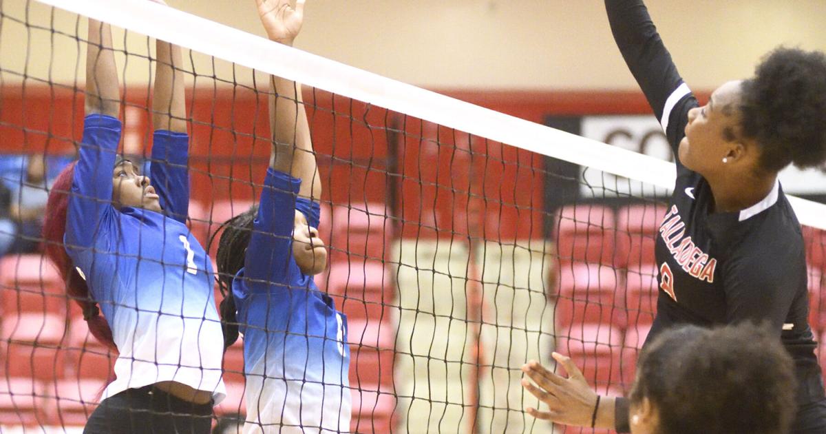 AnnistonStar.com - Photos: Talladega Volleyball hosts TCCHS image