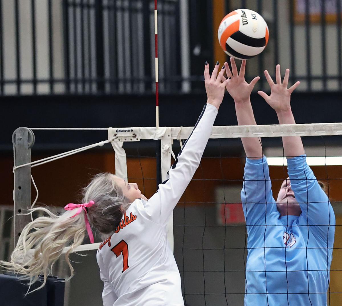 Alexandria PV volleyball