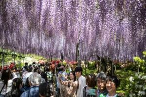 Inflation, hotel prices curtail Japanese 'Golden Week' travels