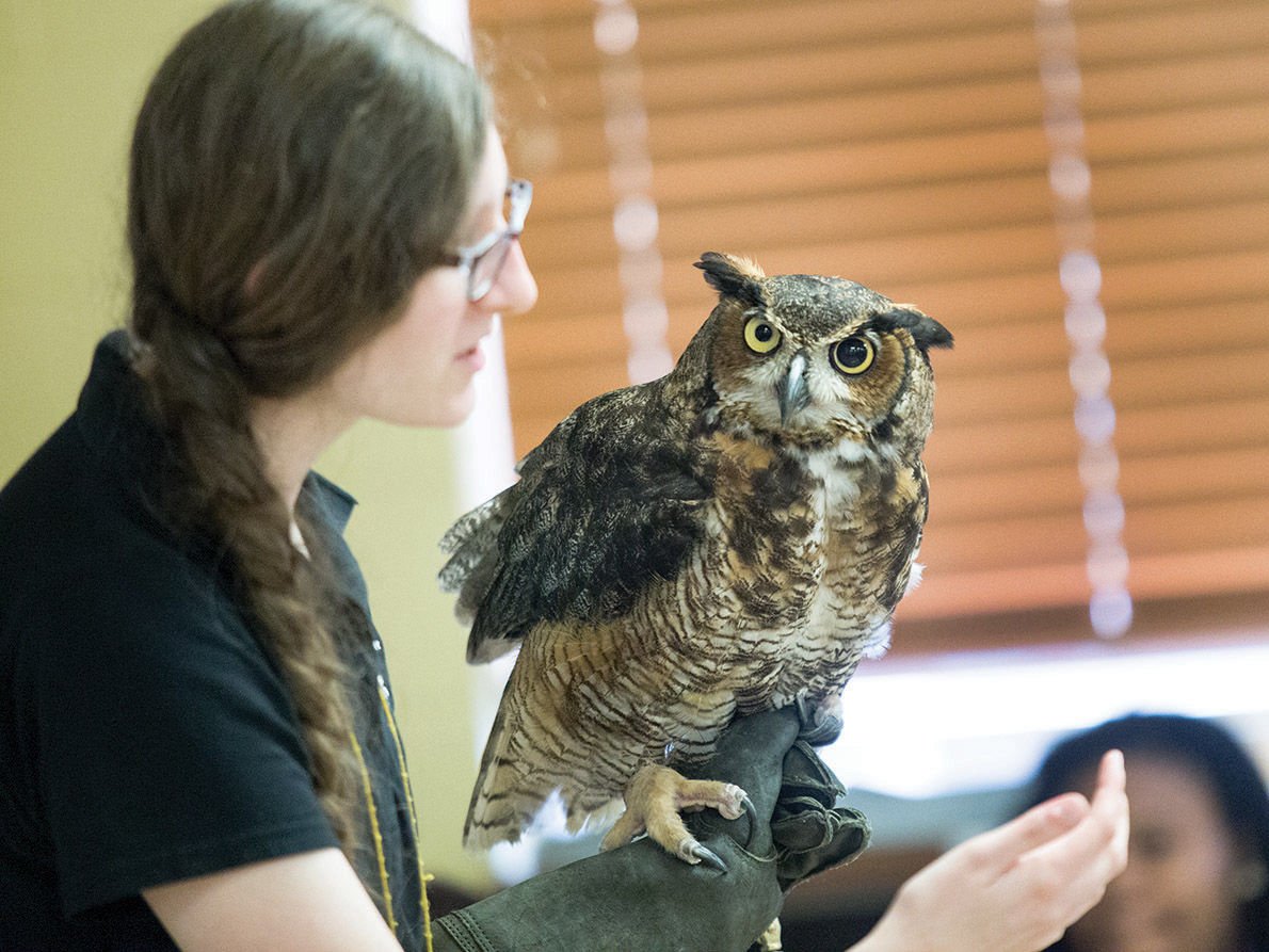 Animal Show Held At Alabama School For The Deaf The Daily