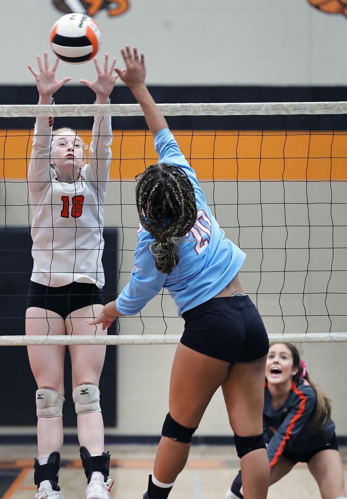 Alexandria PV volleyball