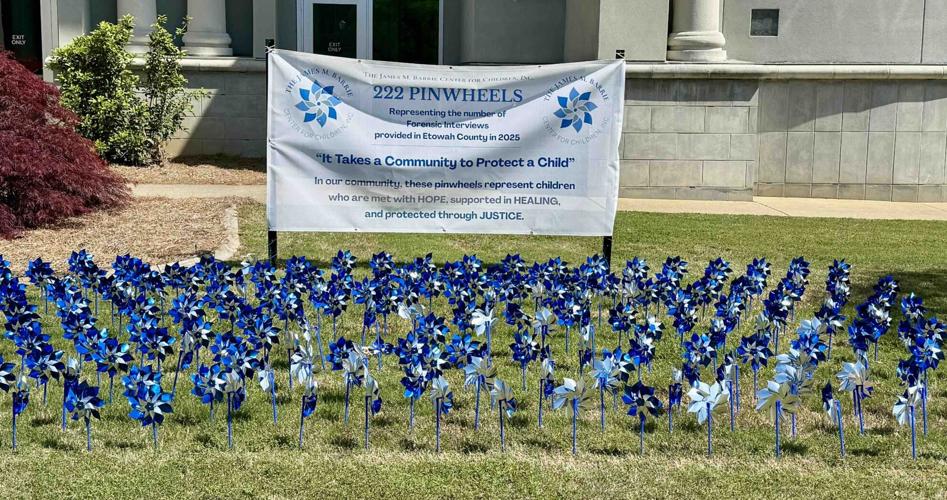 Barrie Center’s pinwheel ceremony reflects lives that were changed
