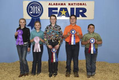 Congrats ... Local youth bring home awards from Youth Sheep Show