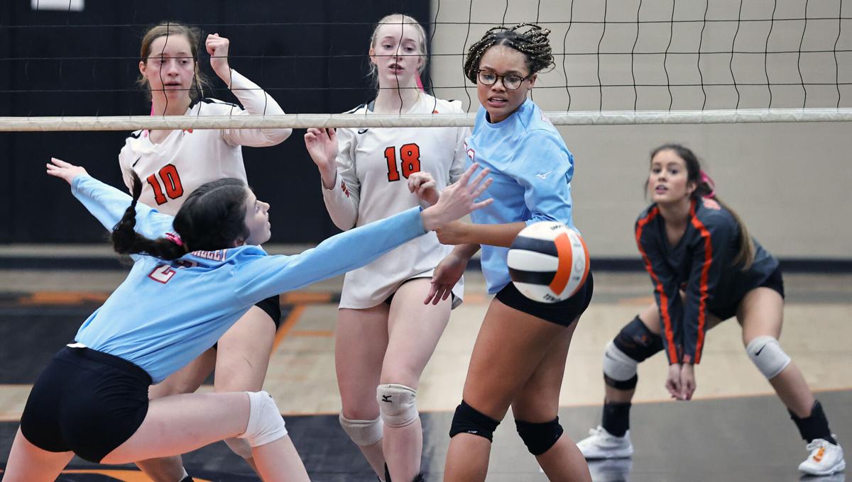 Alexandria PV volleyball