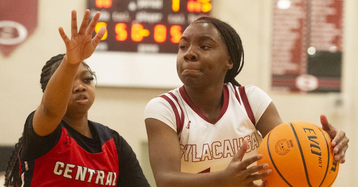 AnnistonStar.com - Photos: Sylacauga girls finish runner-up in area championship - Girls Basketball image