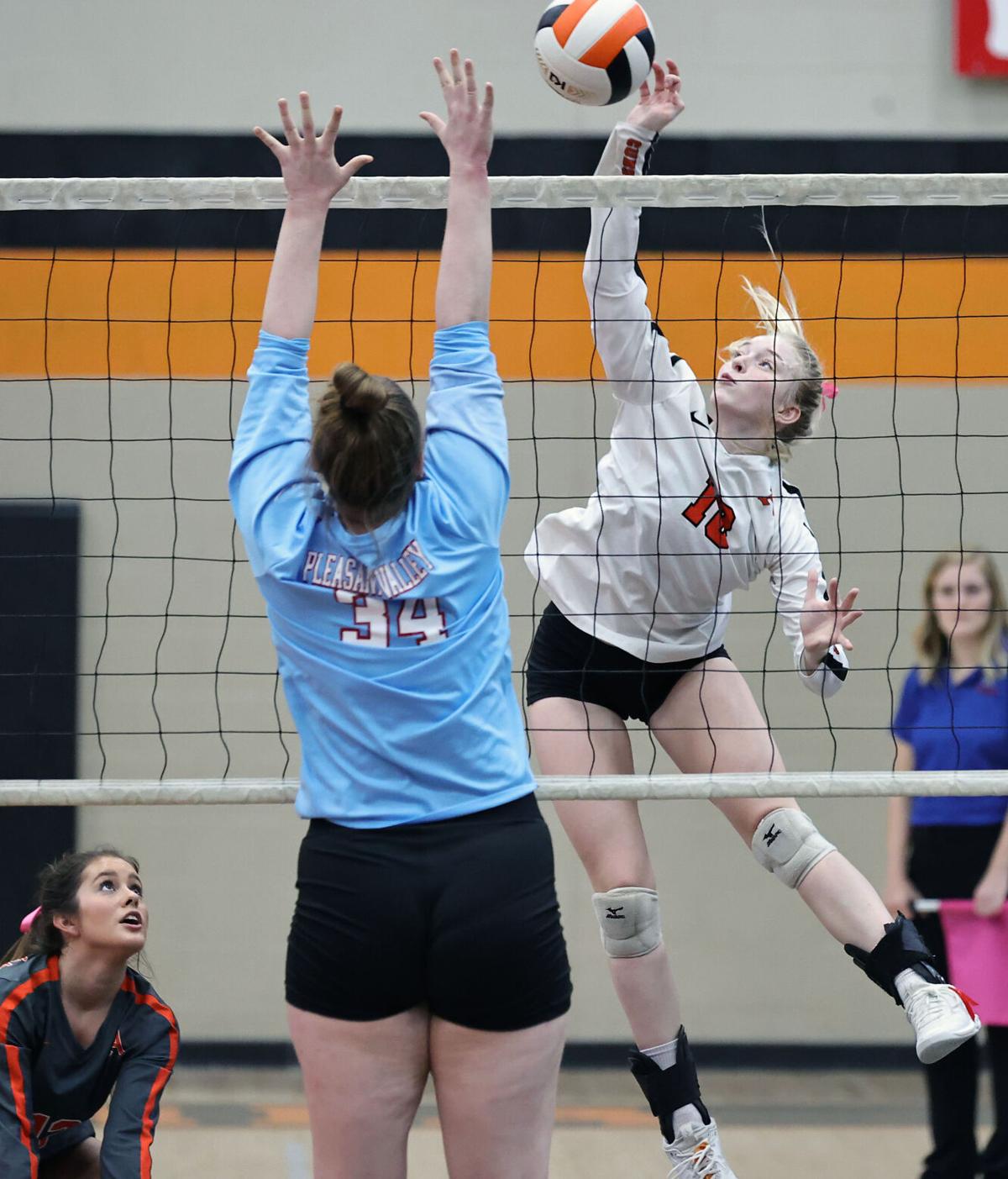 Alexandria PV volleyball