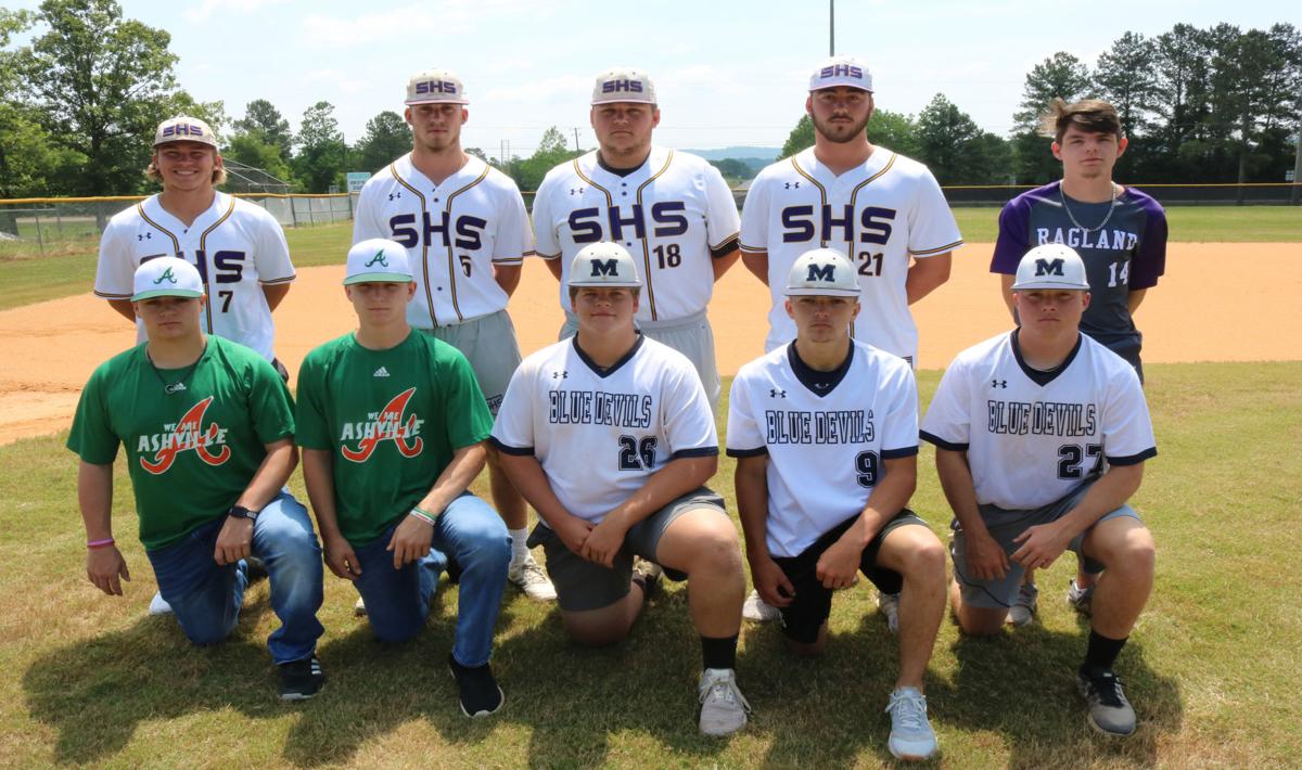 2019 St. Clair AllCounty Baseball Team named The St. Clair Times
