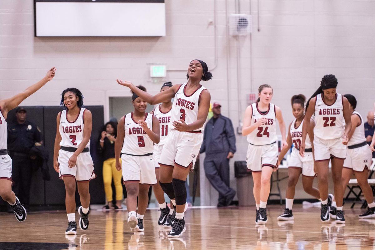 Sylacauga Lady Aggies defeat Briarwood Christian to advance