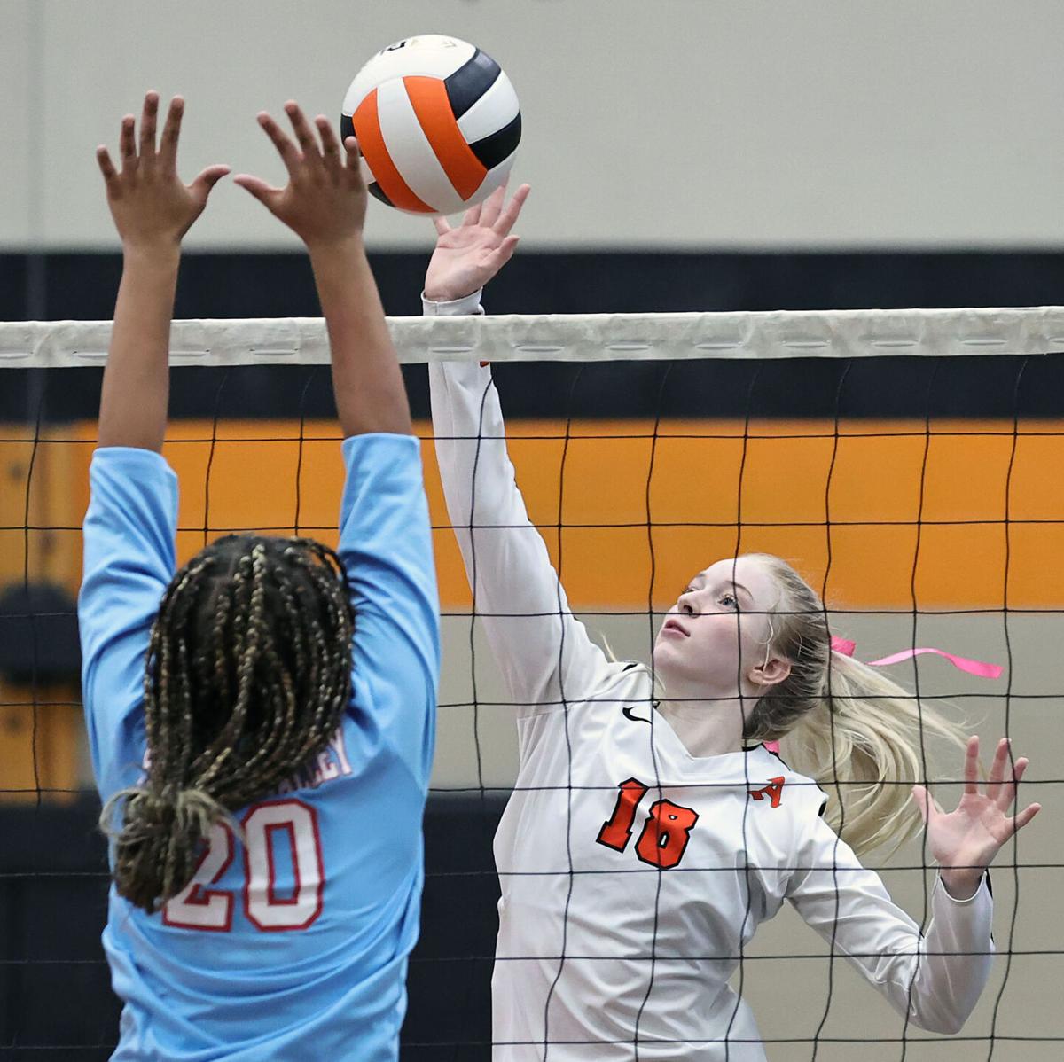 Alexandria PV volleyball