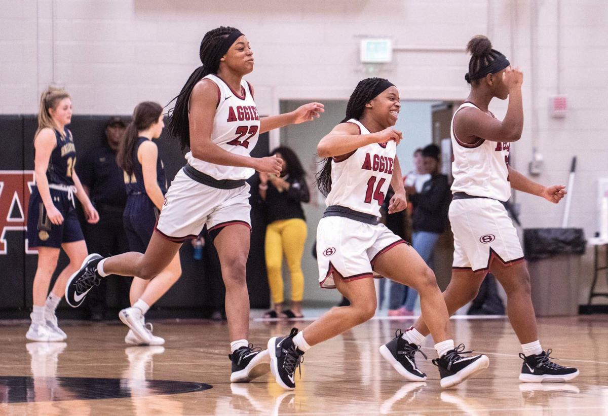 Sylacauga Lady Aggies defeat Briarwood Christian to advance