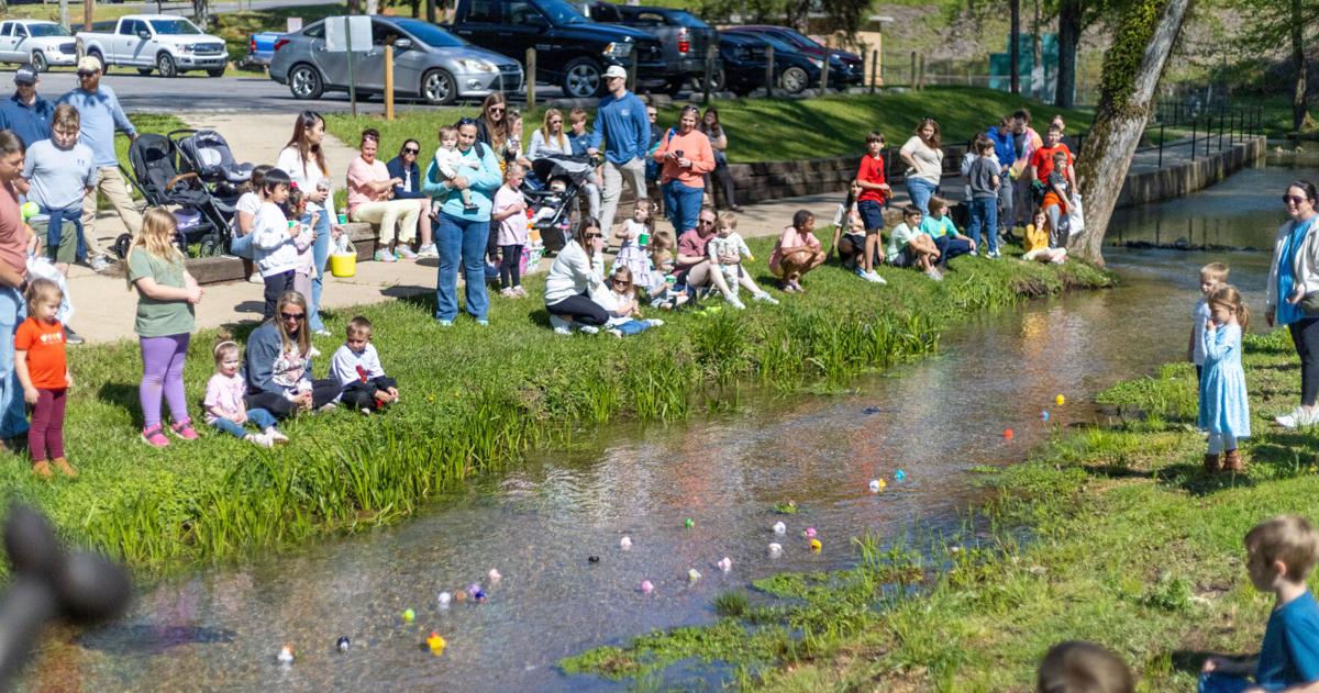 Spring Time Team Business team to host ‘Springtime Bash’ | Jacksonville | annistonstar.com