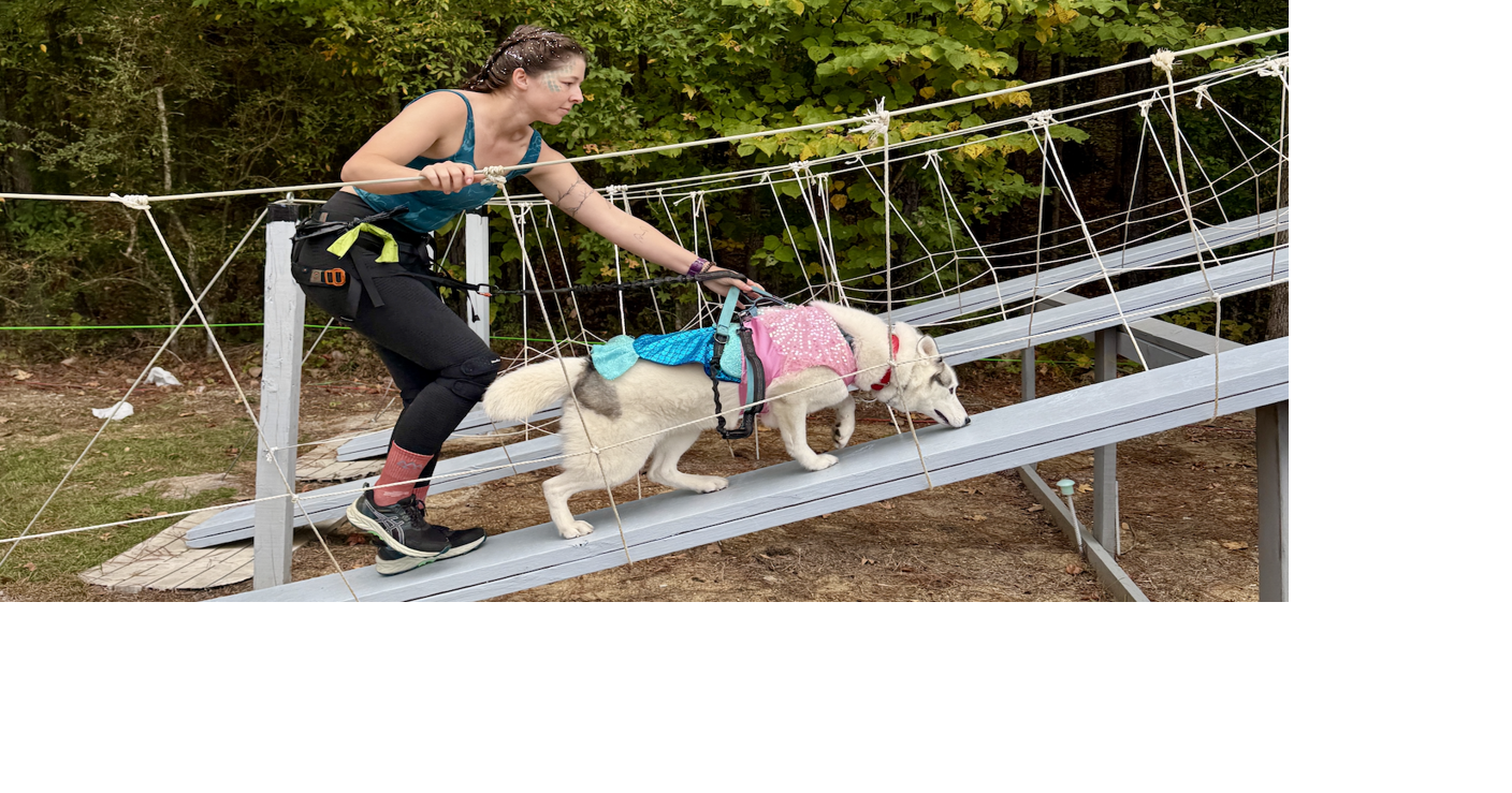 Photo gallery: The semi-annual OneWorld Dog Race at McClellan took ...
