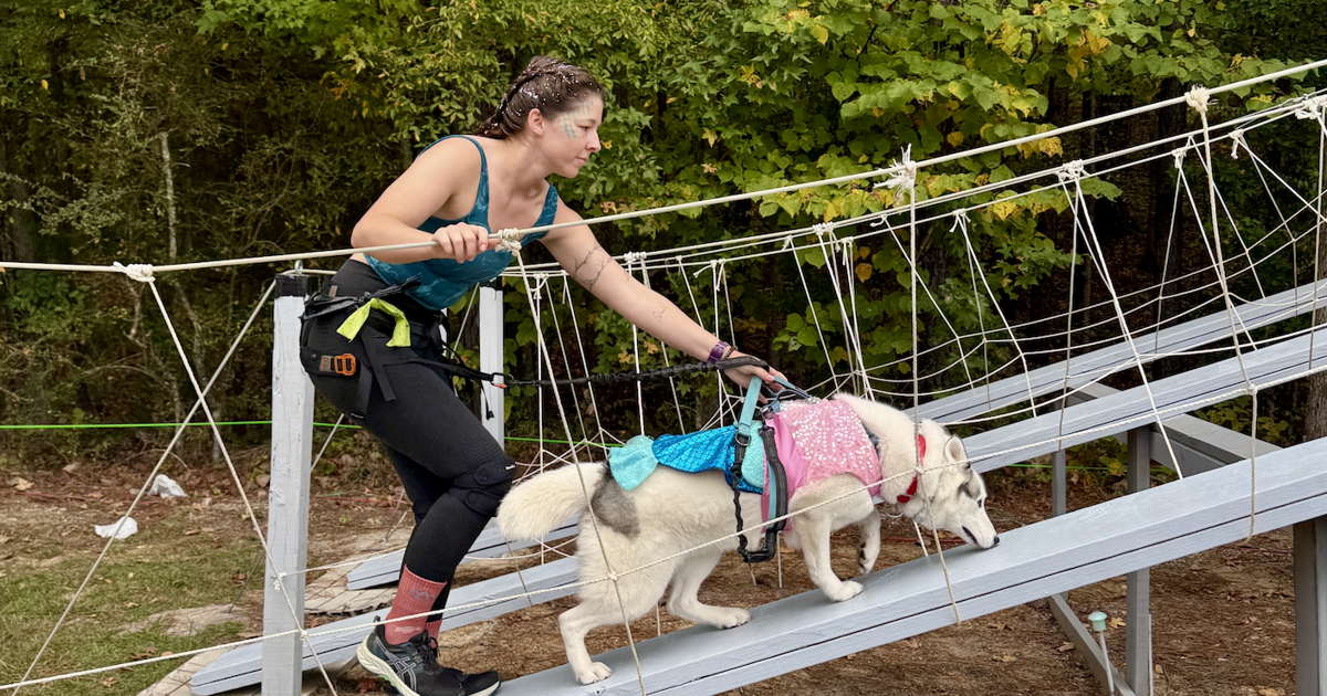 Photo gallery: The semi-annual OneWorld Dog Race at McClellan took ...